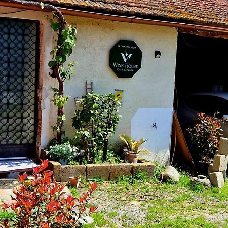 Wine House Acomodação com café da manhã Capannori Exterior foto