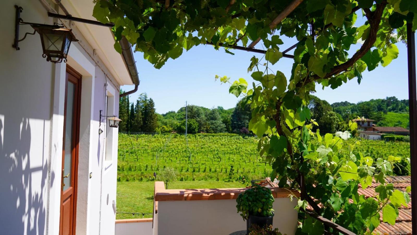 Wine House Acomodação com café da manhã Capannori Exterior foto