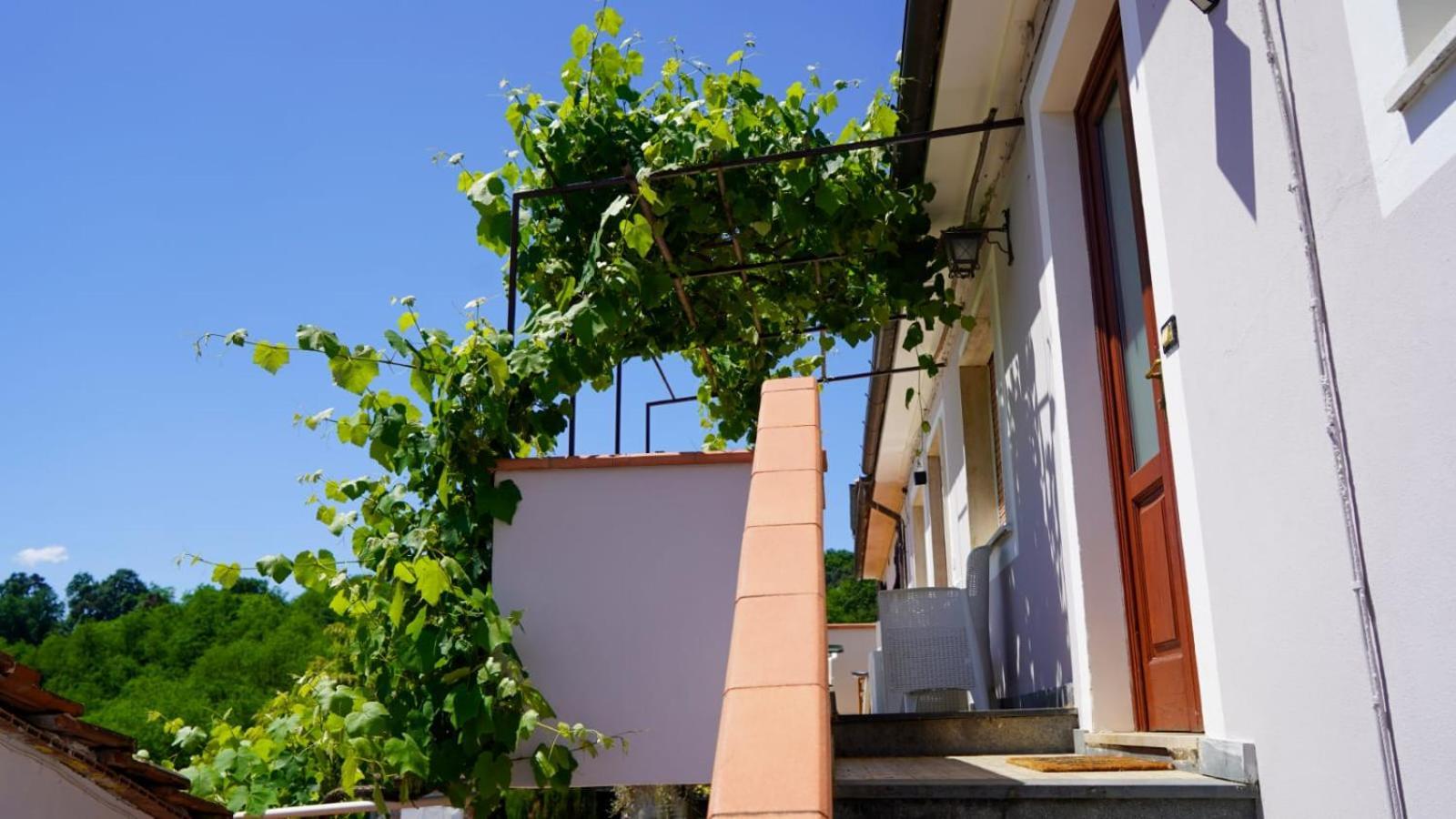 Wine House Acomodação com café da manhã Capannori Exterior foto